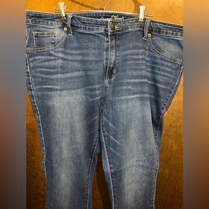 Plus Size 22W Universal Thread Skinny Jeans